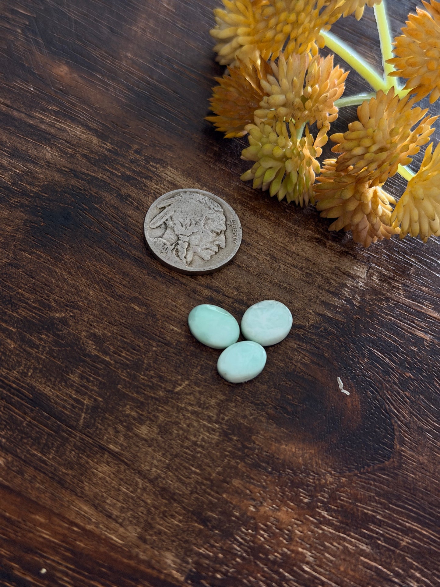 Paloma Variscite Cabs