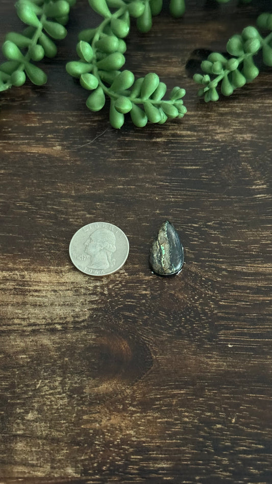 Black Jack Turquoise Cab