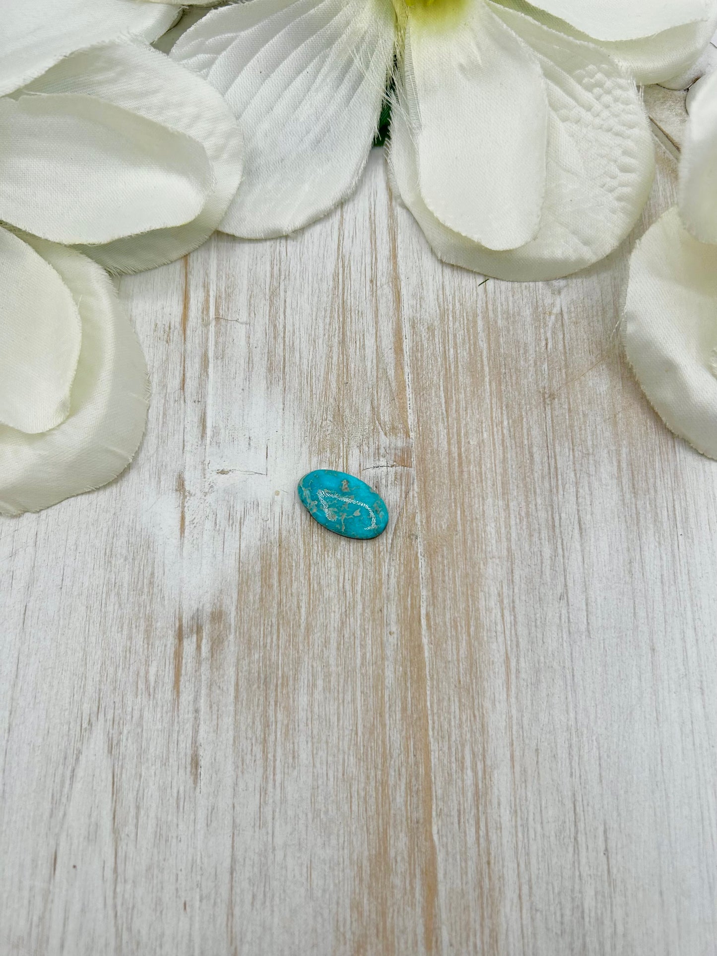 Blue Ridge Turquoise Cab
