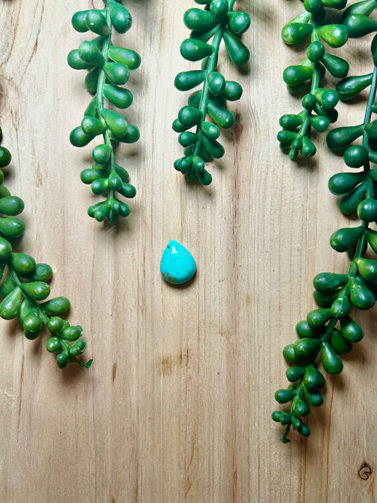 Kingman Turquoise Cab