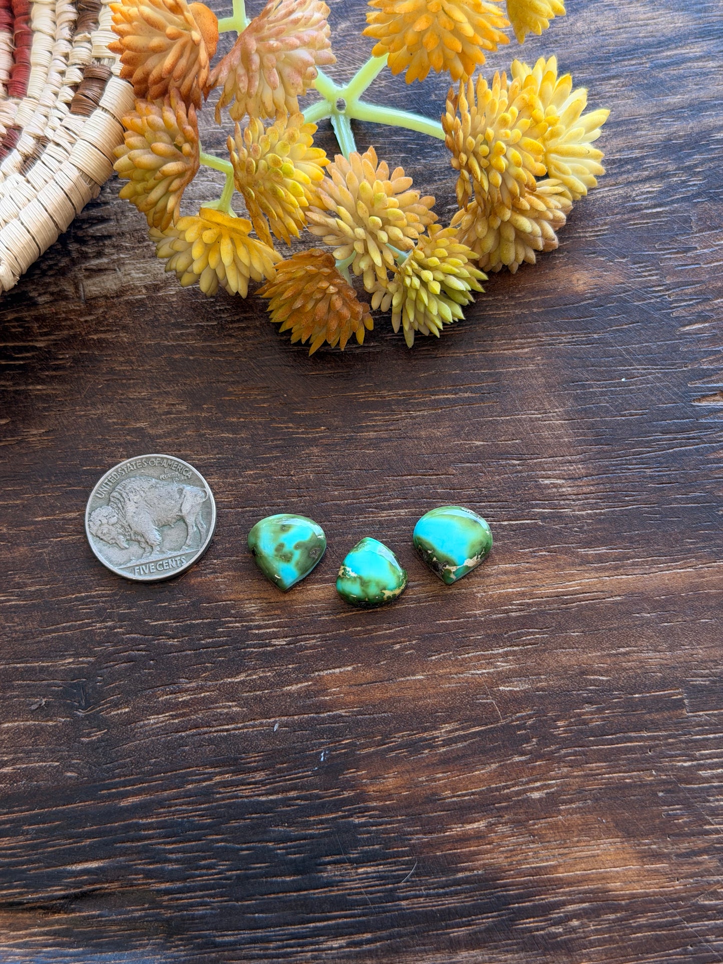 Sonoran Mountain Turquoise Cabs