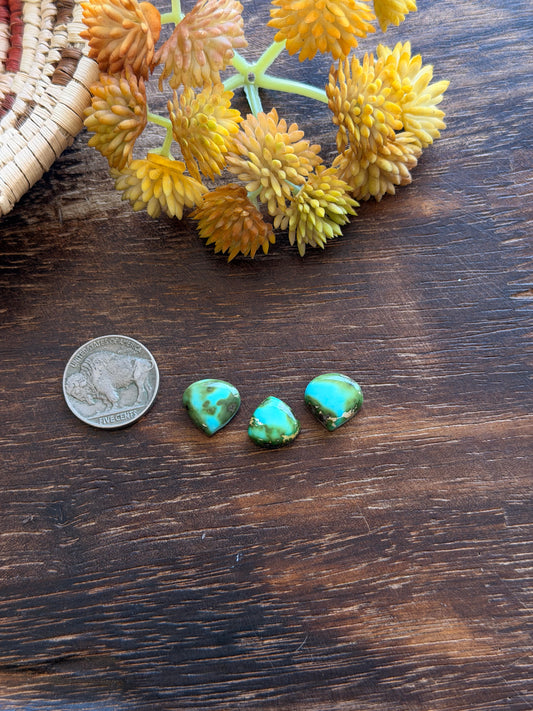 Sonoran Mountain Turquoise Cabs