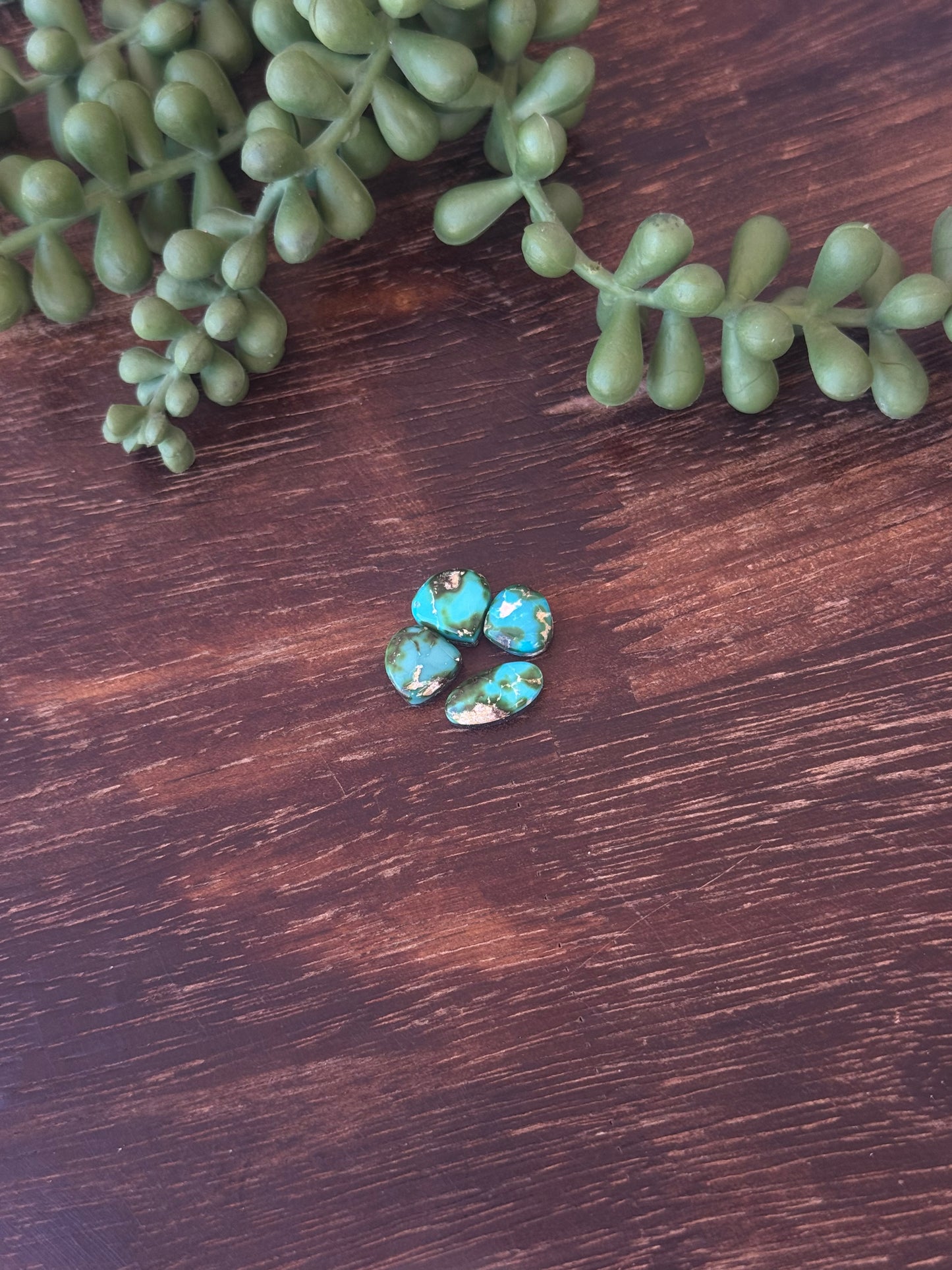 Sonoran Mountain Turquoise Cabs