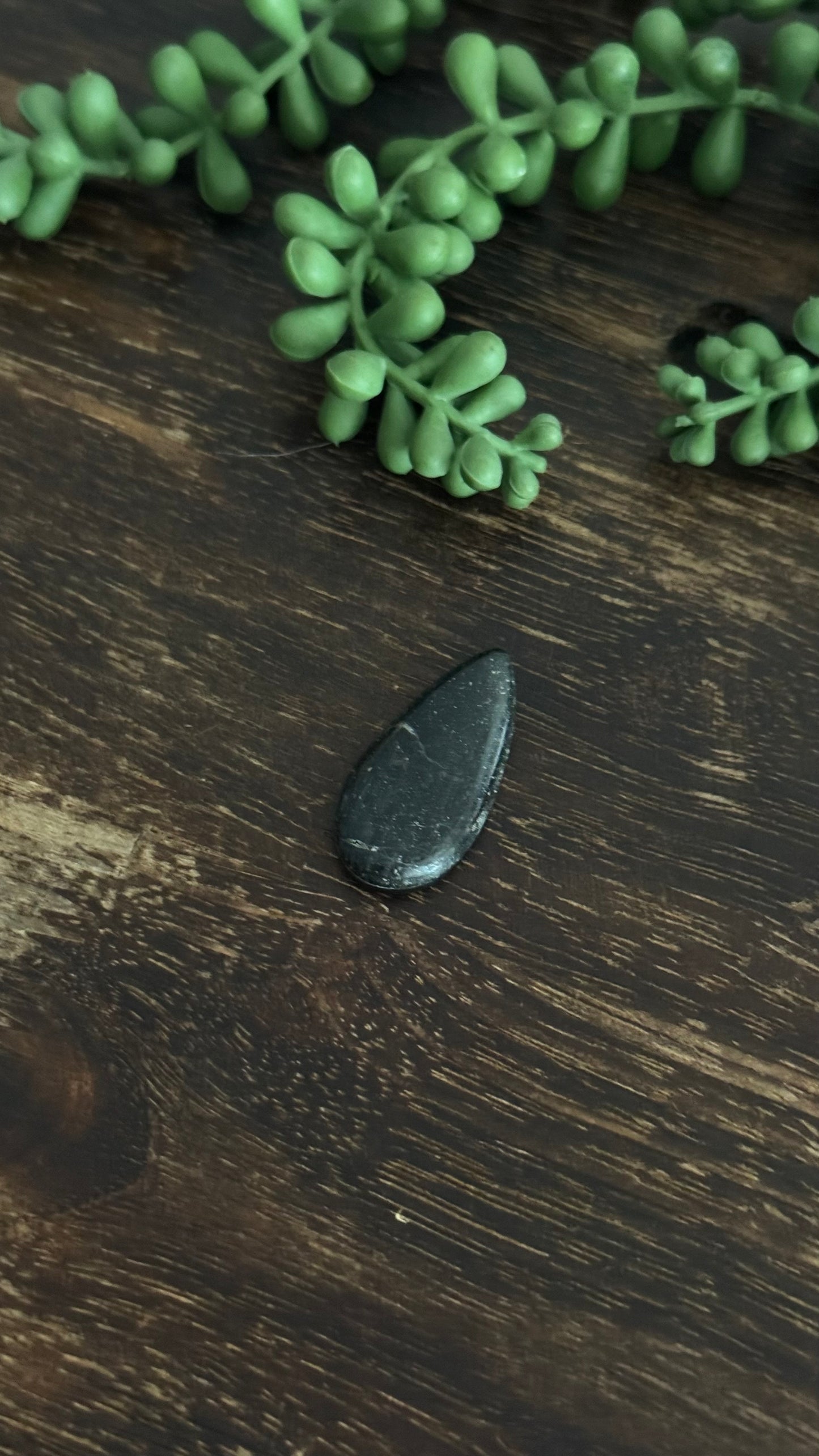 Black Jack Turquoise Cab