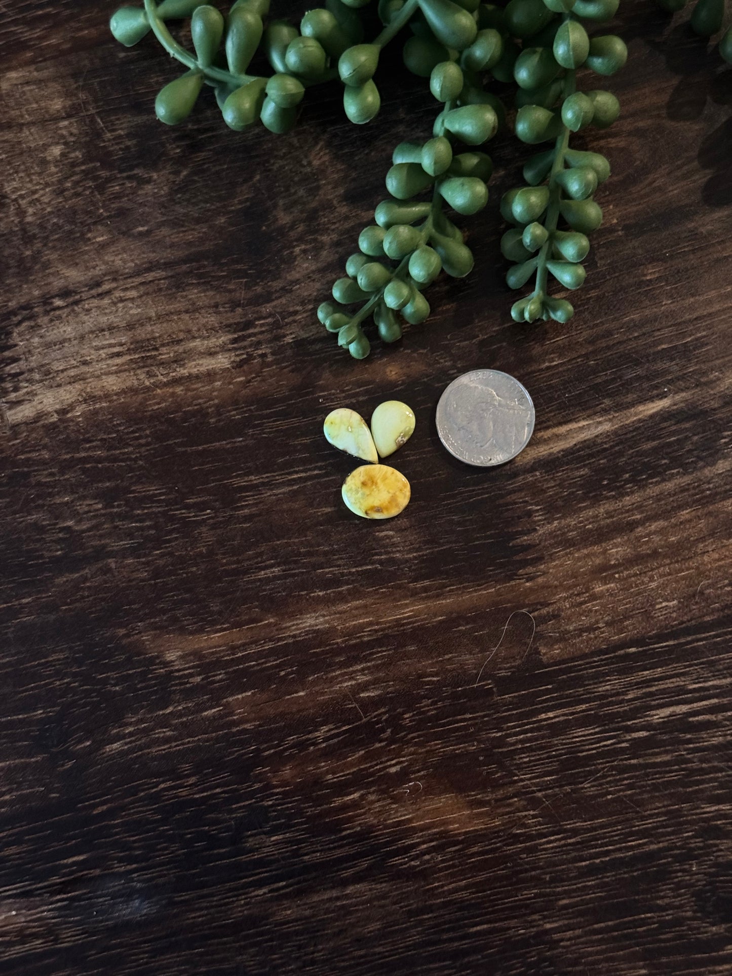 Palomino Variscite Cabs