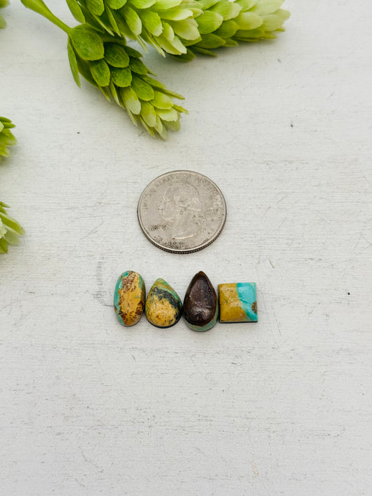 Evans Turquoise Cabs