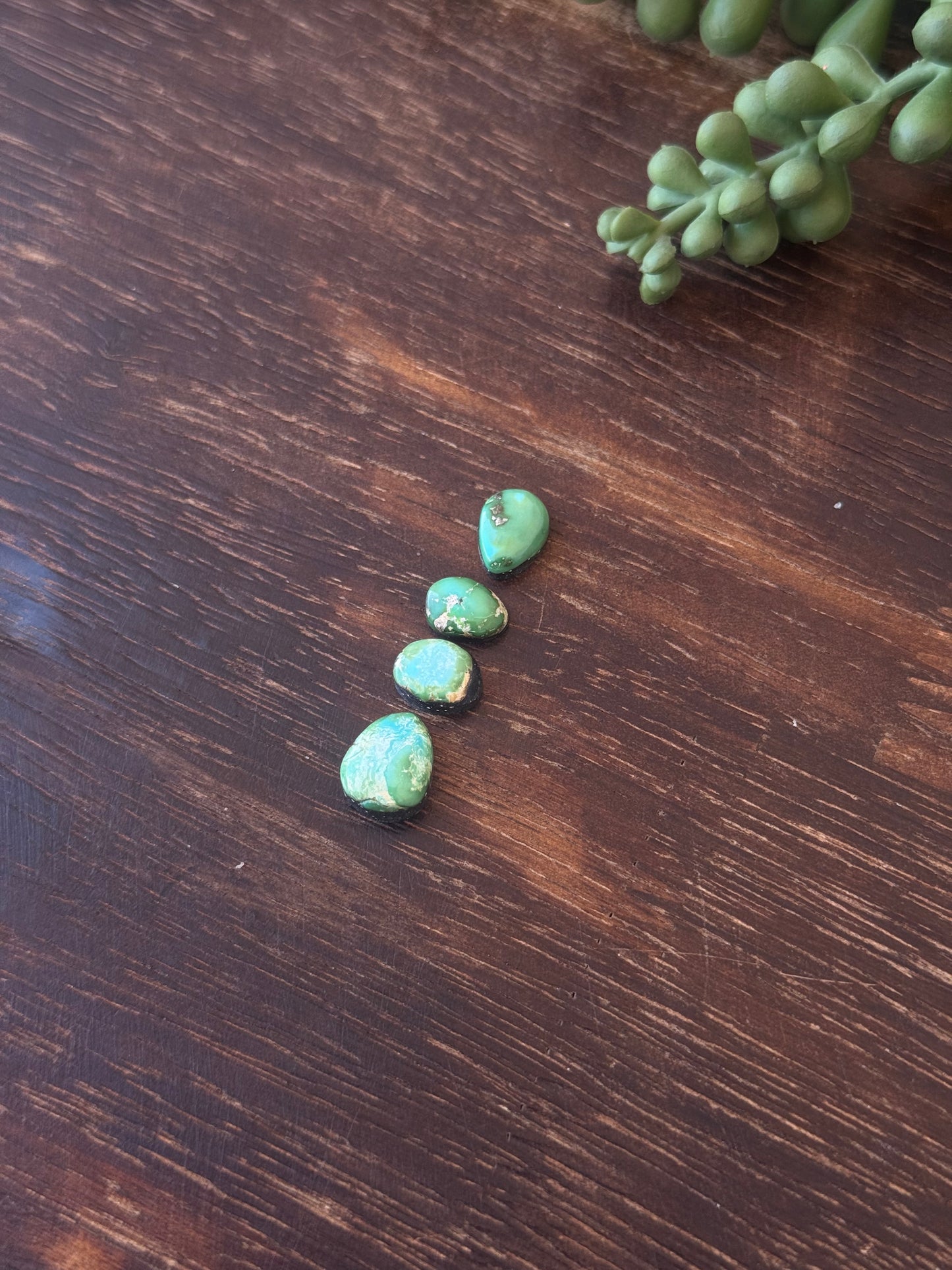 Sonoran Mountain Turquoise Cabs