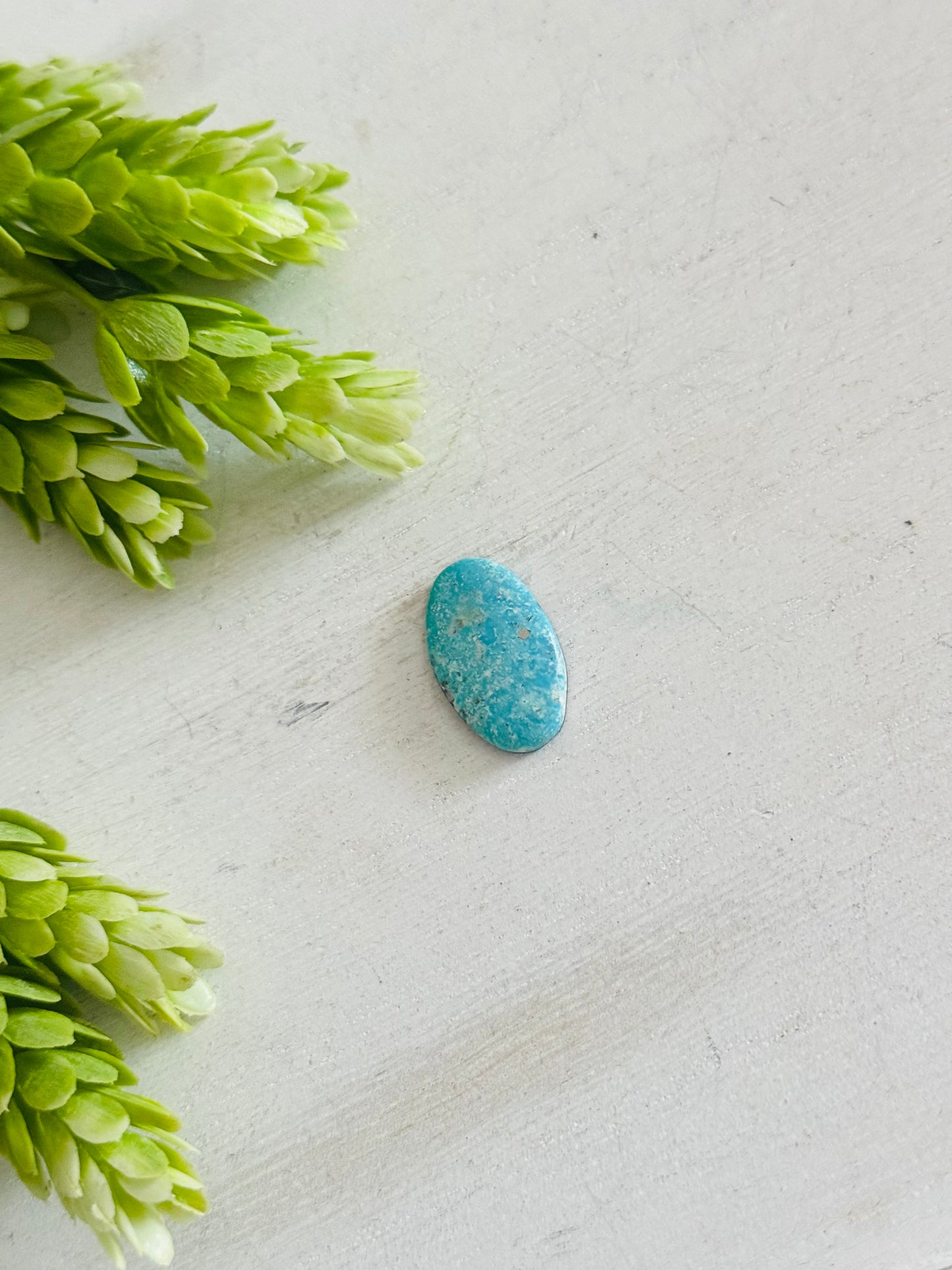 Blue Bird Turquoise Cab