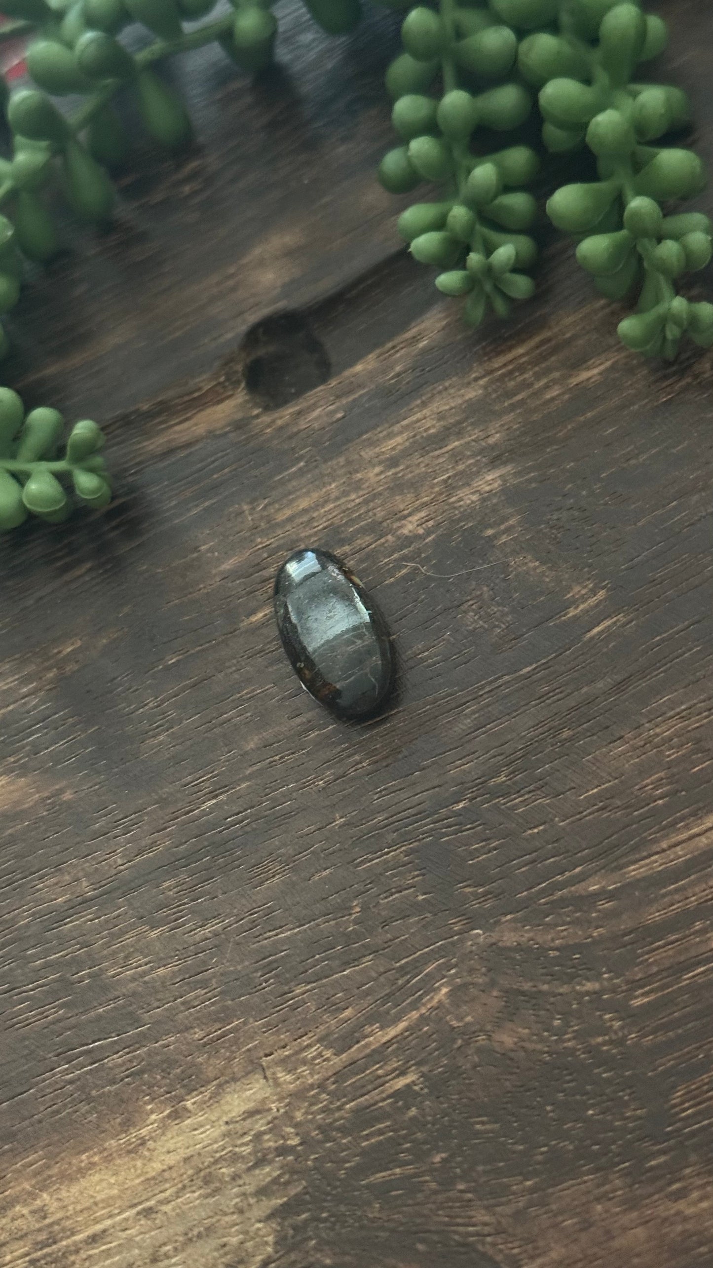 Black Jack Turquoise Cab