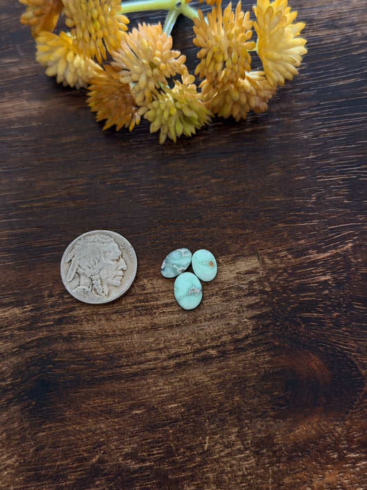Paloma Variscite Cabs