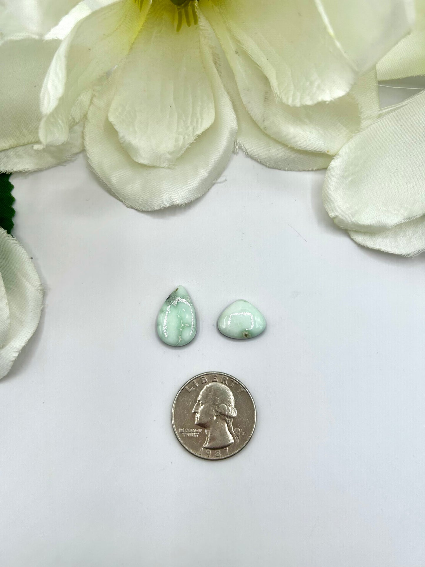 Paloma Variscite Cabs