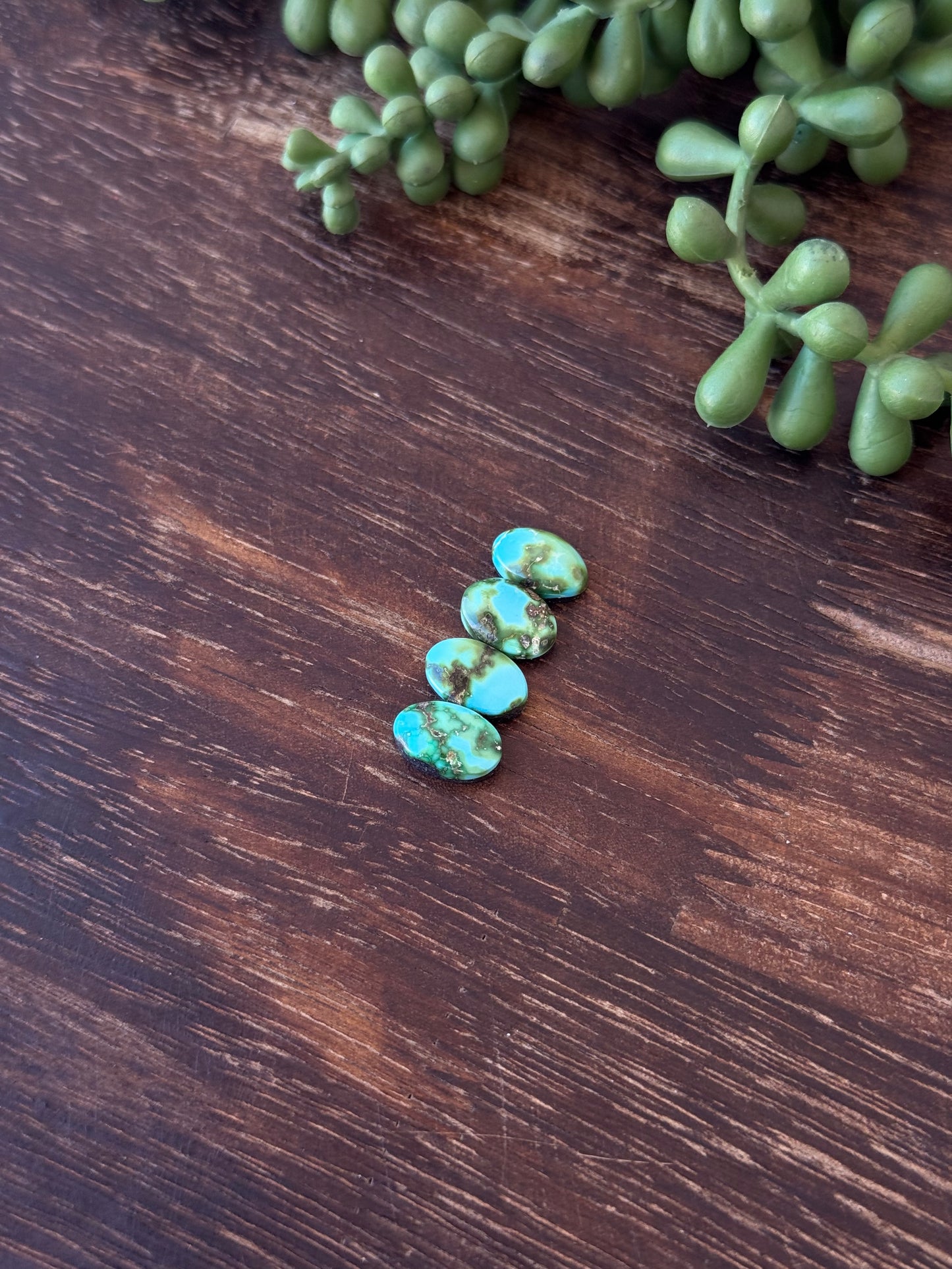 Sonoran Mountain Turquoise Cabs
