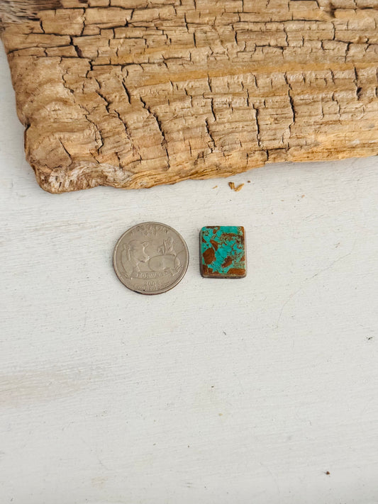 Natural Kings Manassa Turquoise Cab