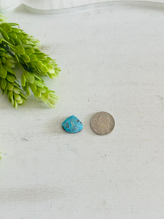 Blue Bird Turquoise Cab