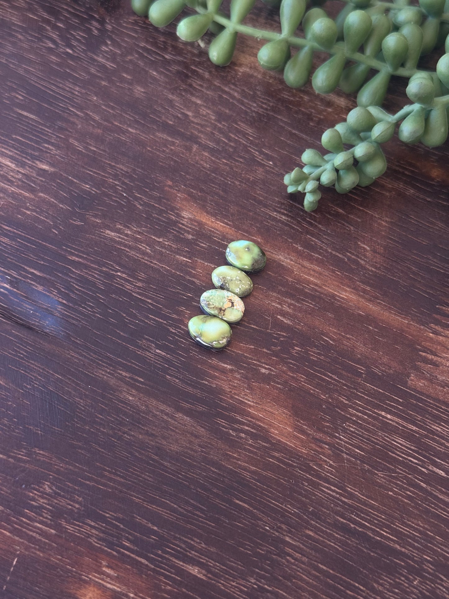 Sonoran Mountain Turquoise Cabs