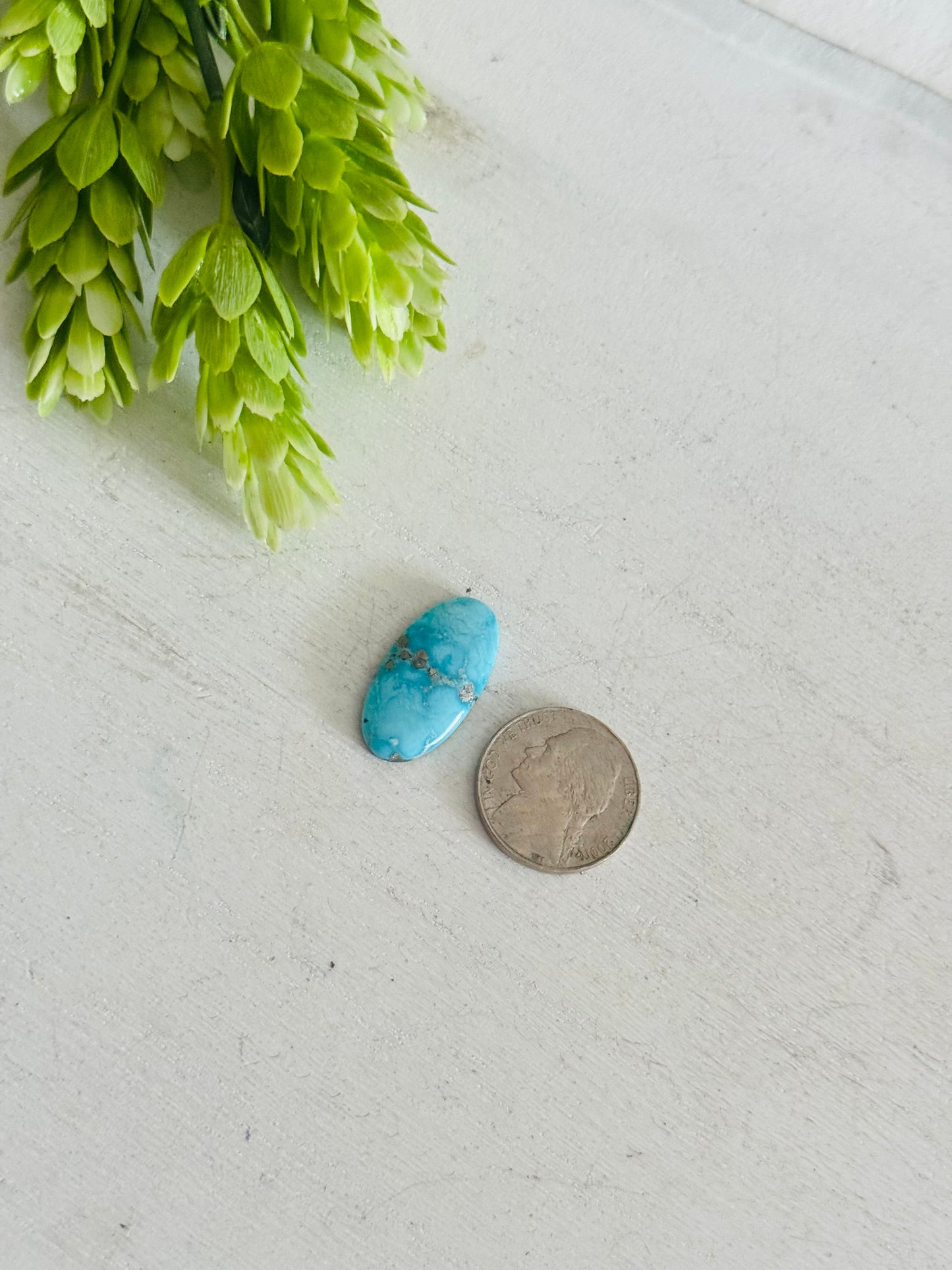 Blue Bird Turquoise Cab