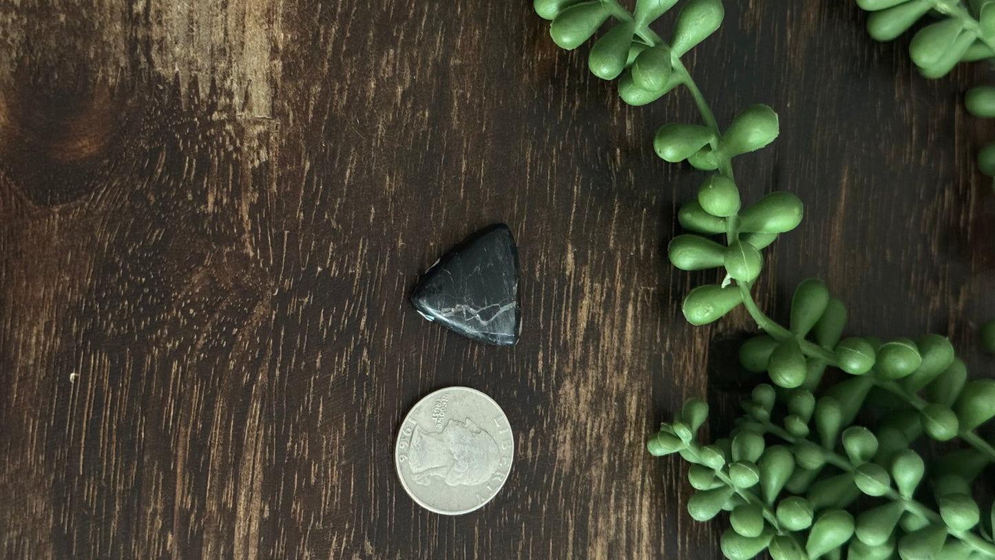 Black Jack Turquoise Cab