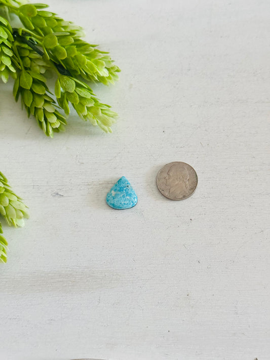 Blue Bird Turquoise Cab