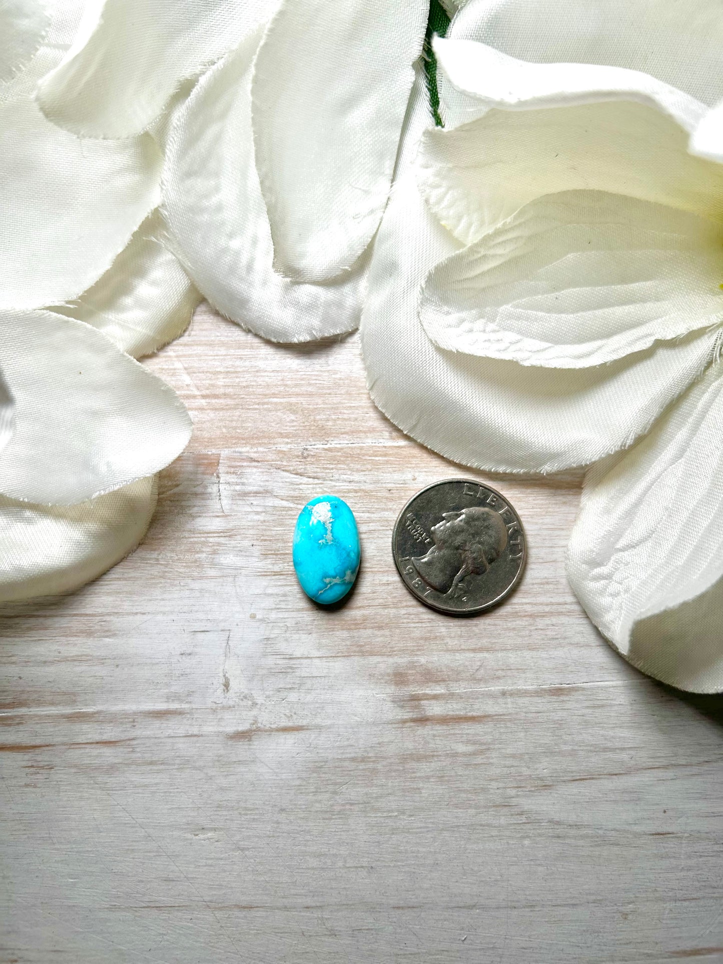 Blue Ridge Turquoise Cab