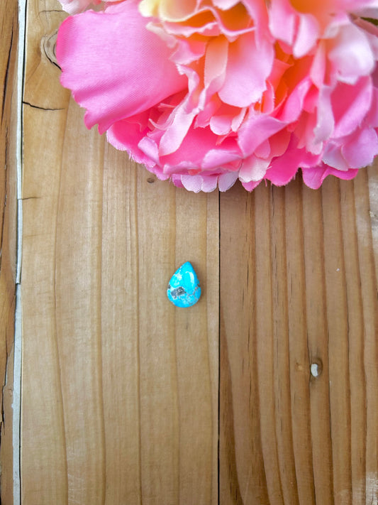 Blue Bird Turquoise Cabs