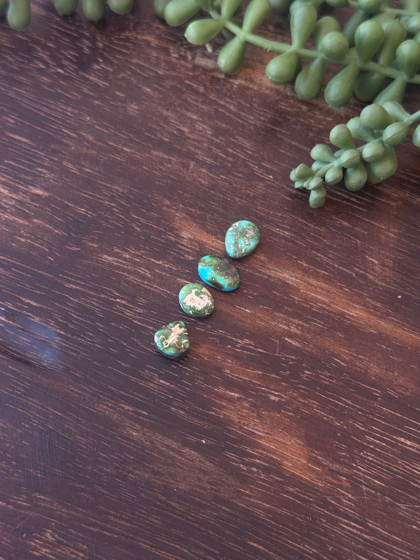 Sonoran Mountain Turquoise Cabs