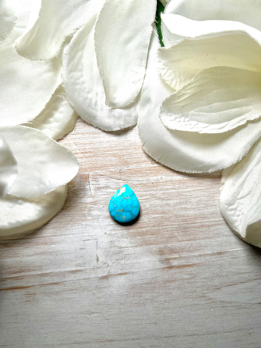 Blue Ridge Turquoise Cab