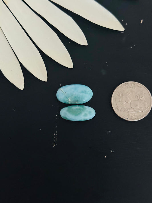 Larimar Cabs