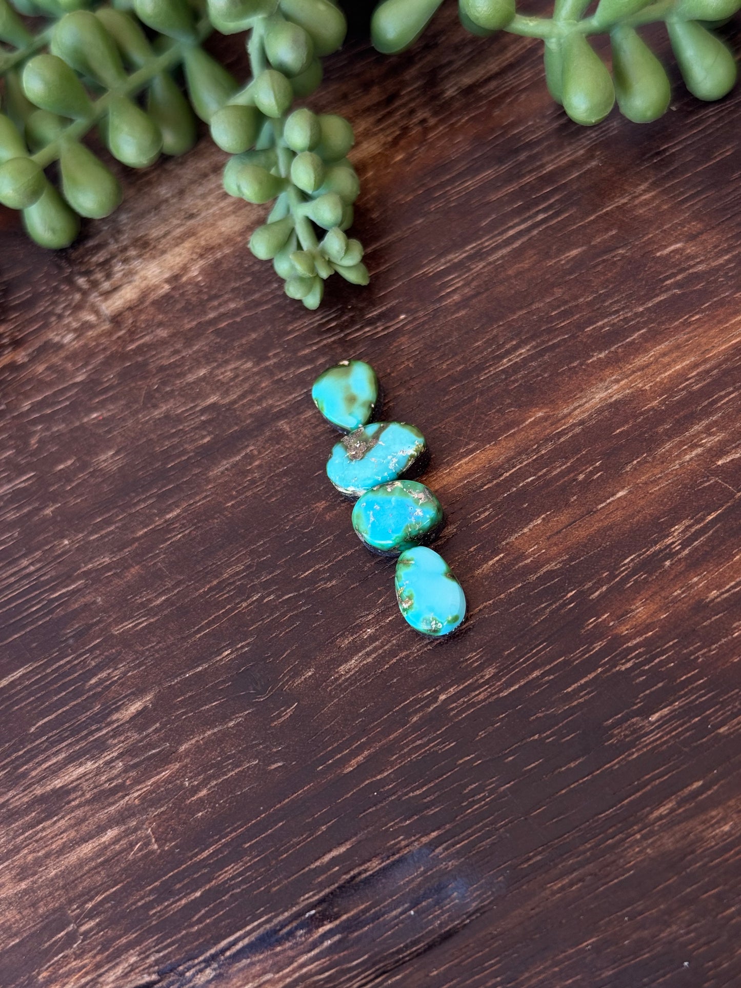 Sonoran Mountain Turquoise Cabs