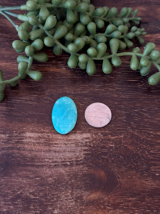 Kingman Turquoise Cab