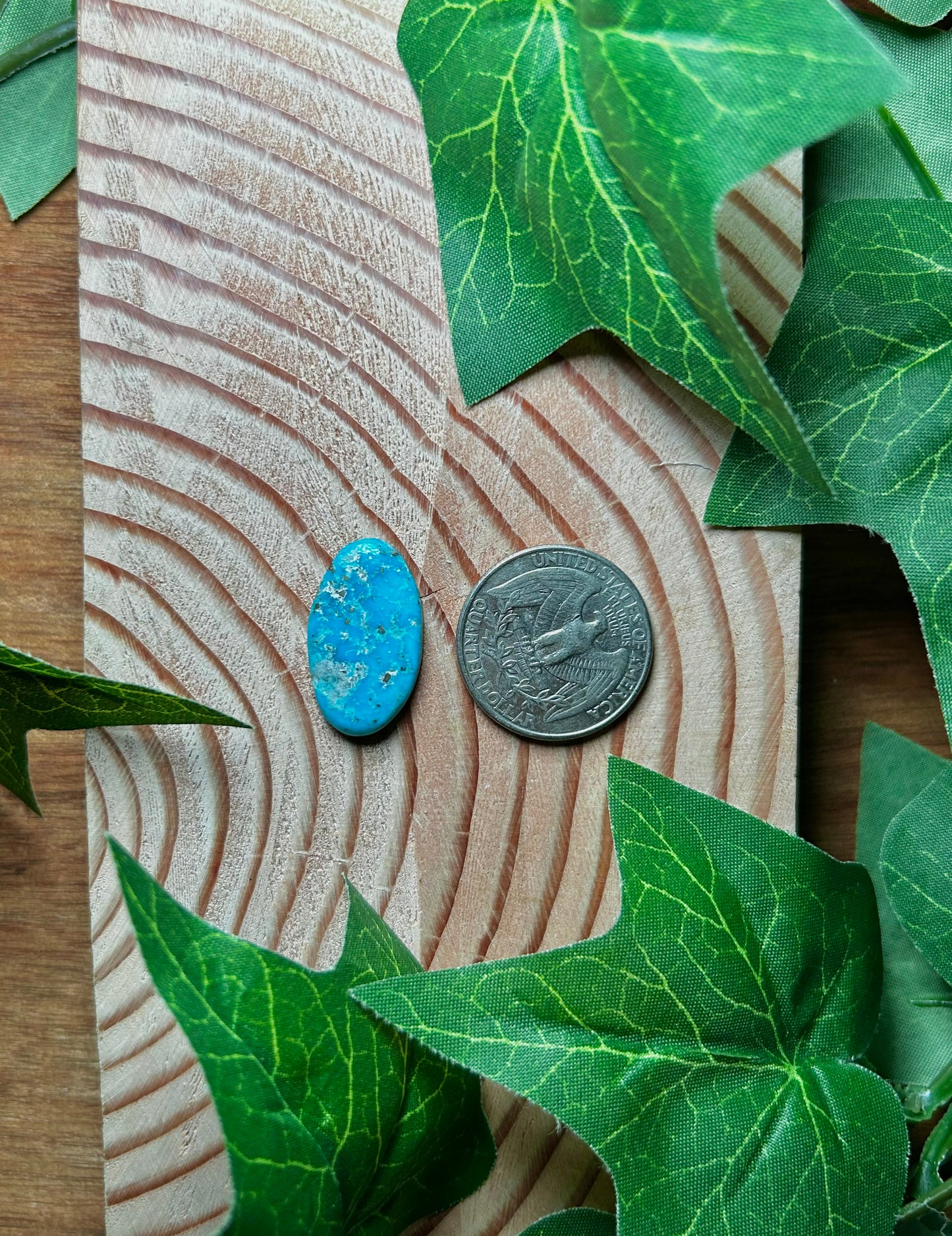Blue Bird Turquoise Cabs