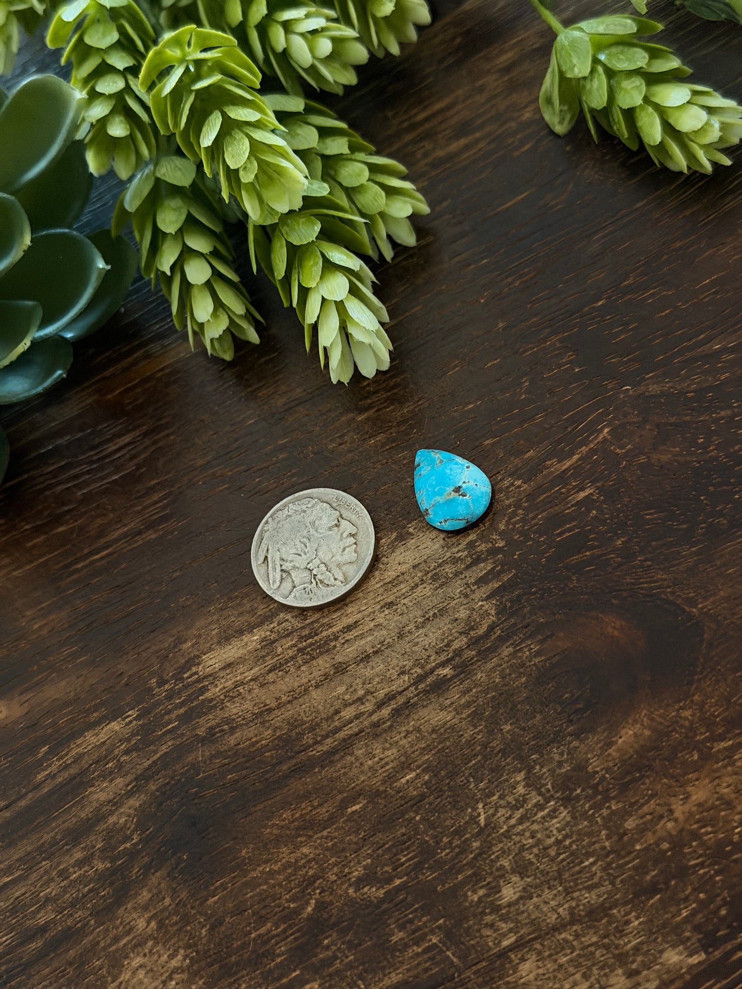 Blue Bird Turquoise Cab