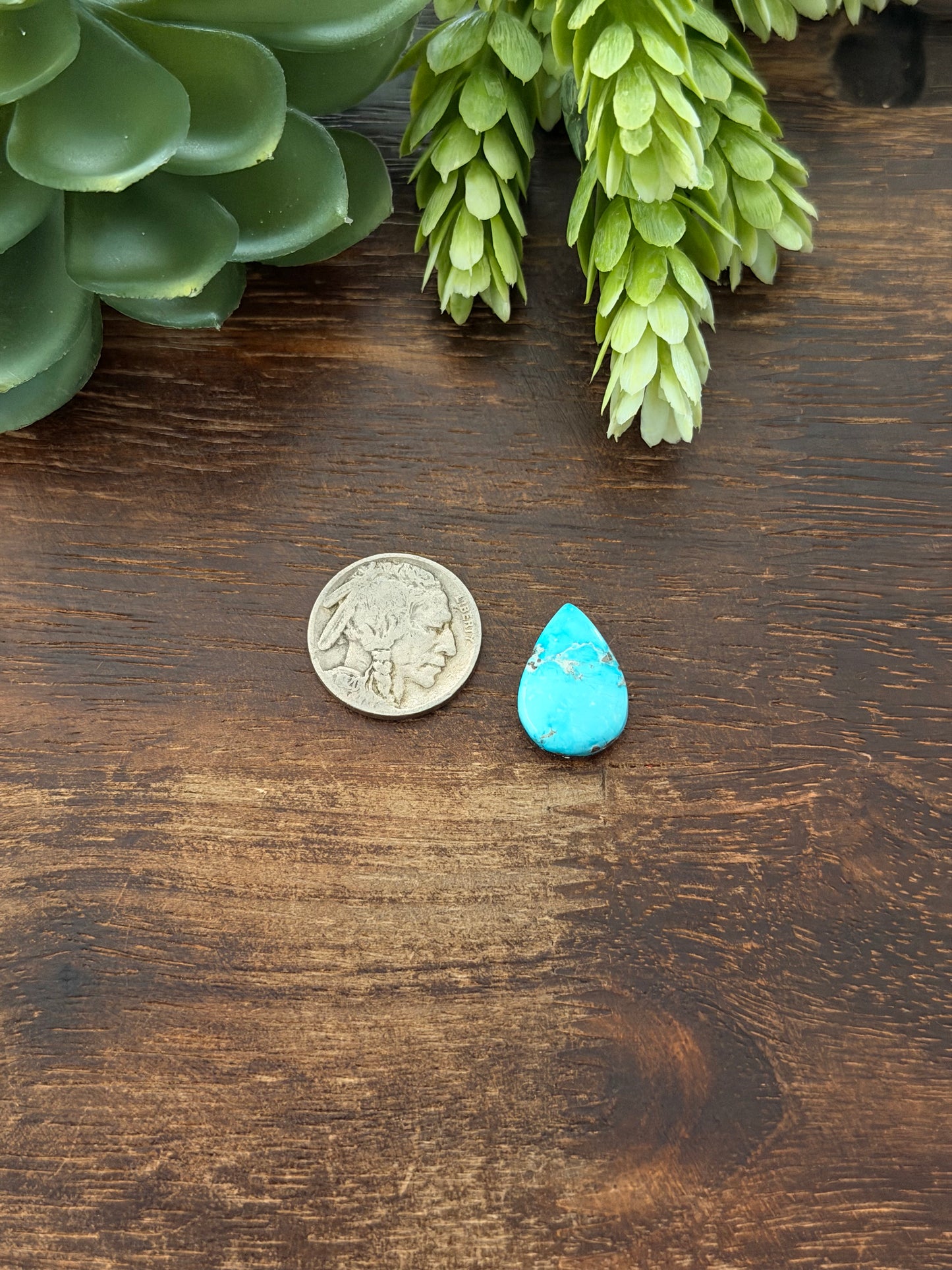 Blue Bird Turquoise Cab