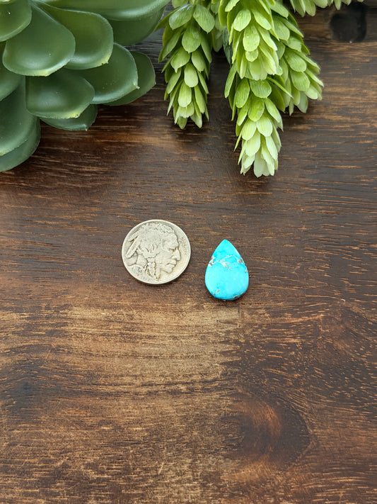 Blue Bird Turquoise Cab