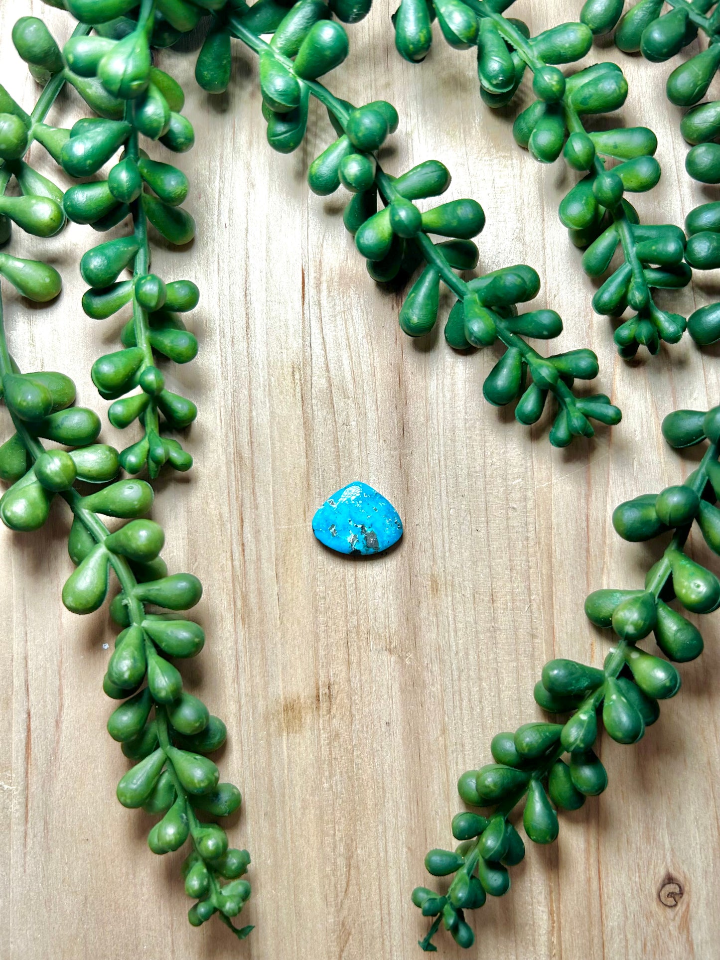 Blue Ridge Turquoise Cab