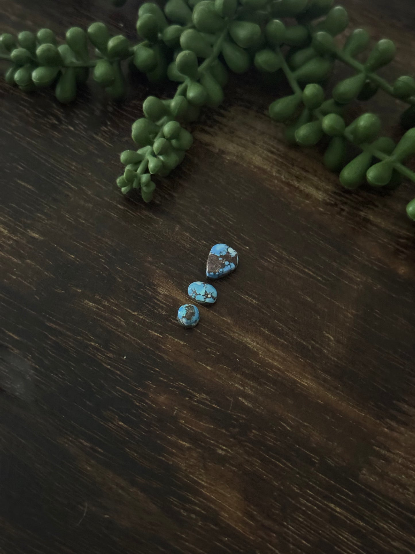 Golden Hills Turquoise Cabs