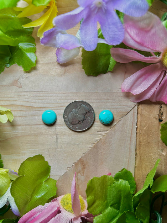 Kingman Turquoise Cabs