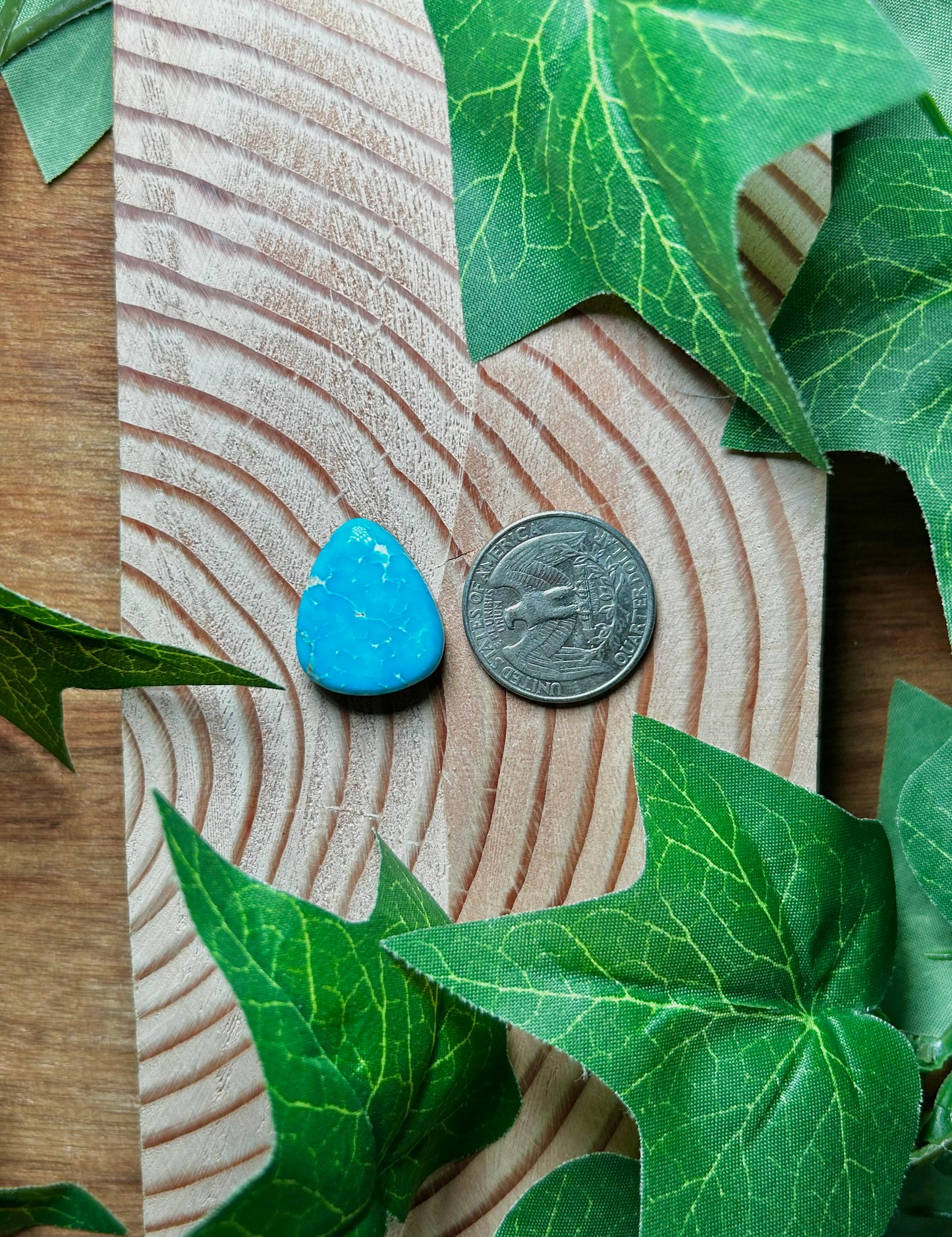 Blue Bird Turquoise Cabs
