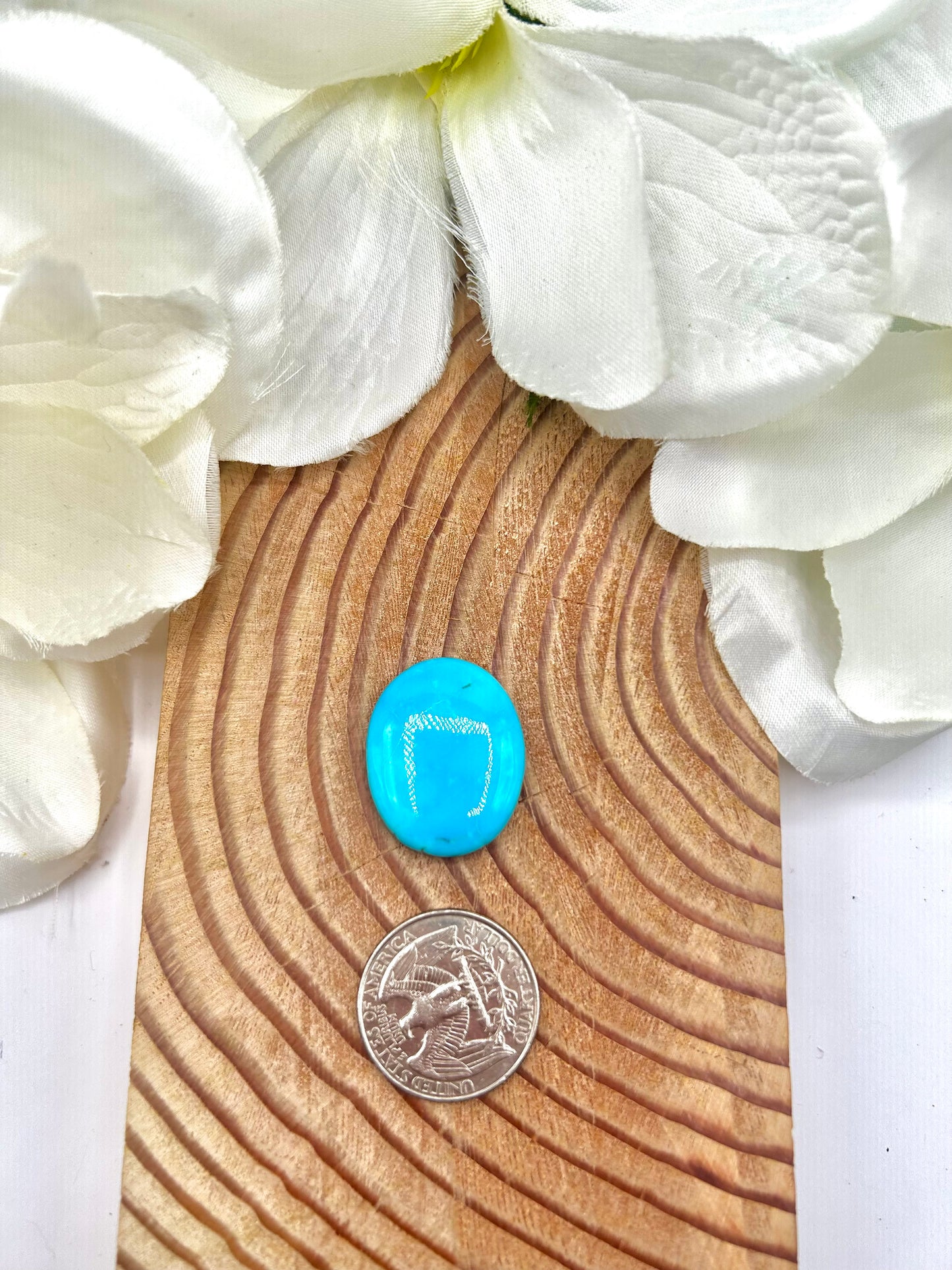 Kingman Turquoise Cab