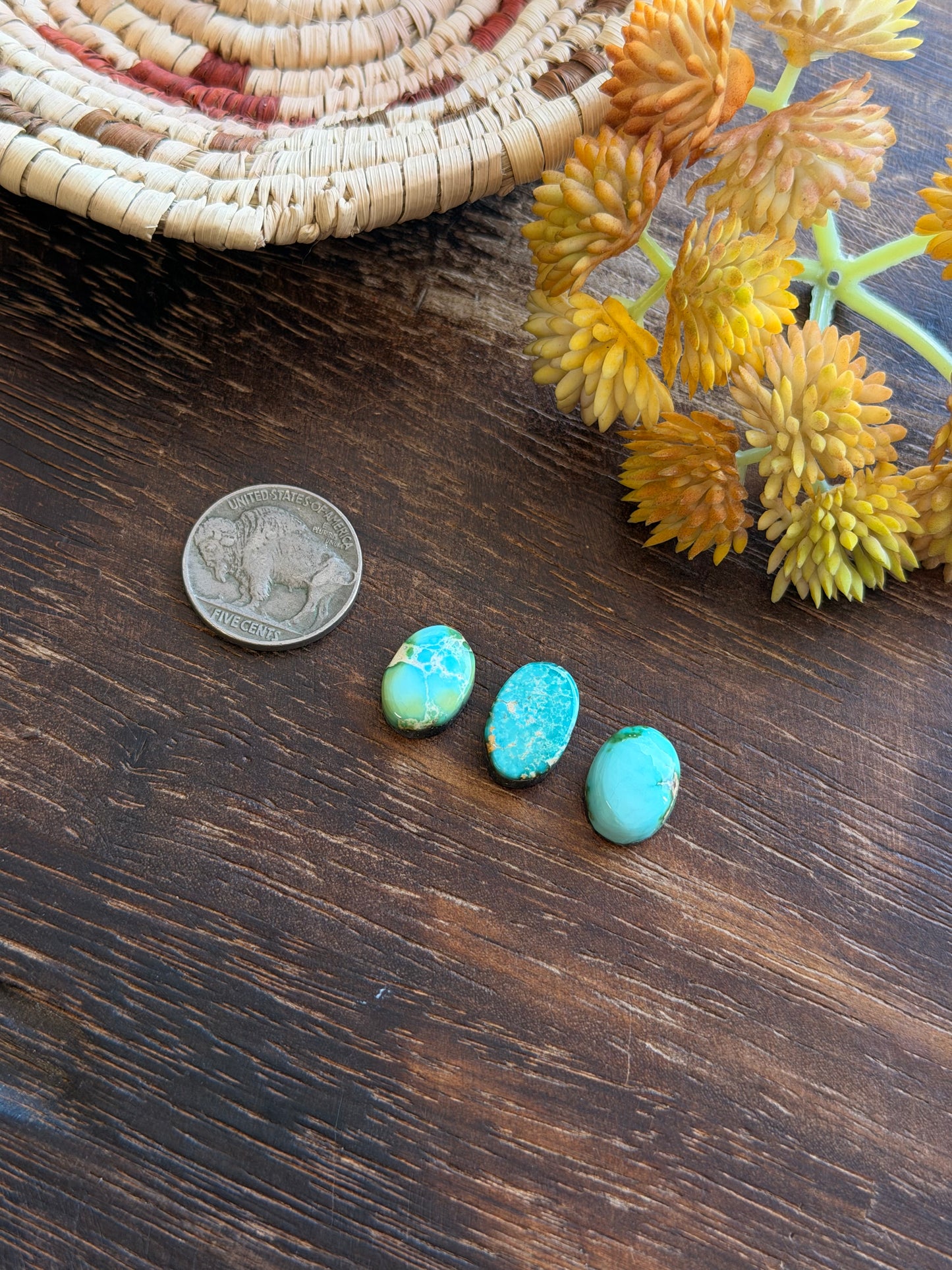 Sonoran Mountain Turquoise Cabs