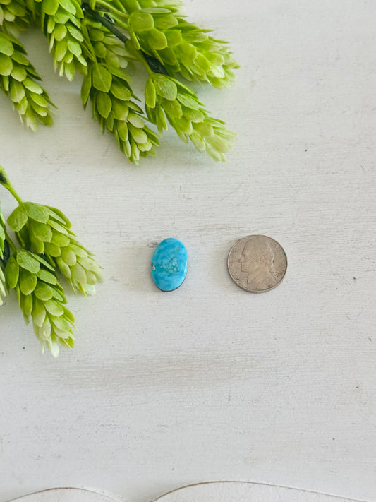 Blue Bird Turquoise Cab