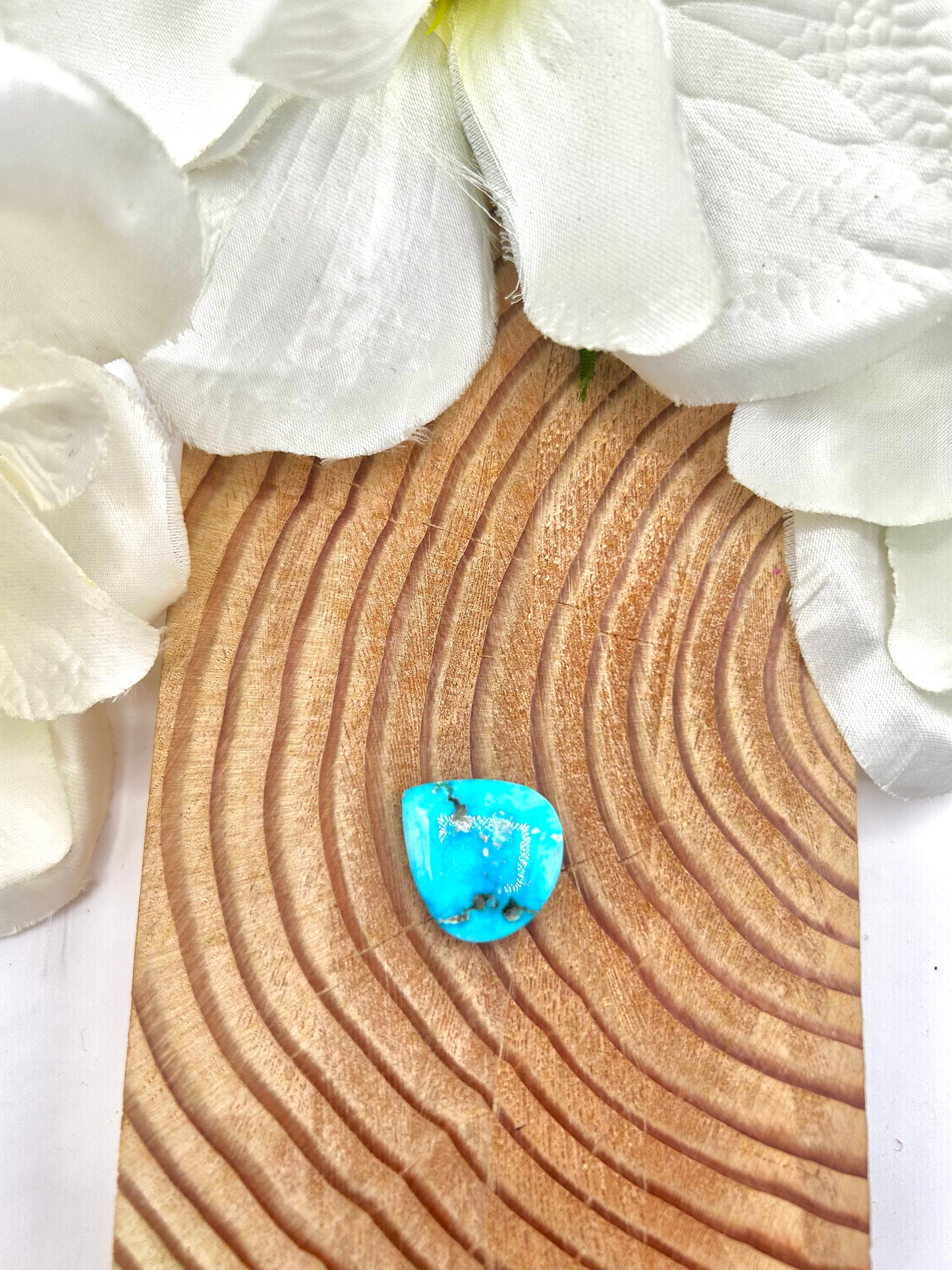 Blue Ridge Turquoise Cab