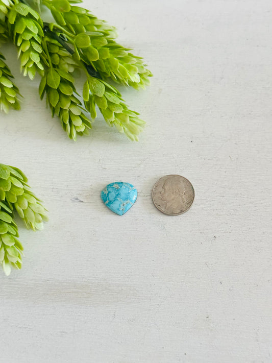 Blue Bird Turquoise Cab