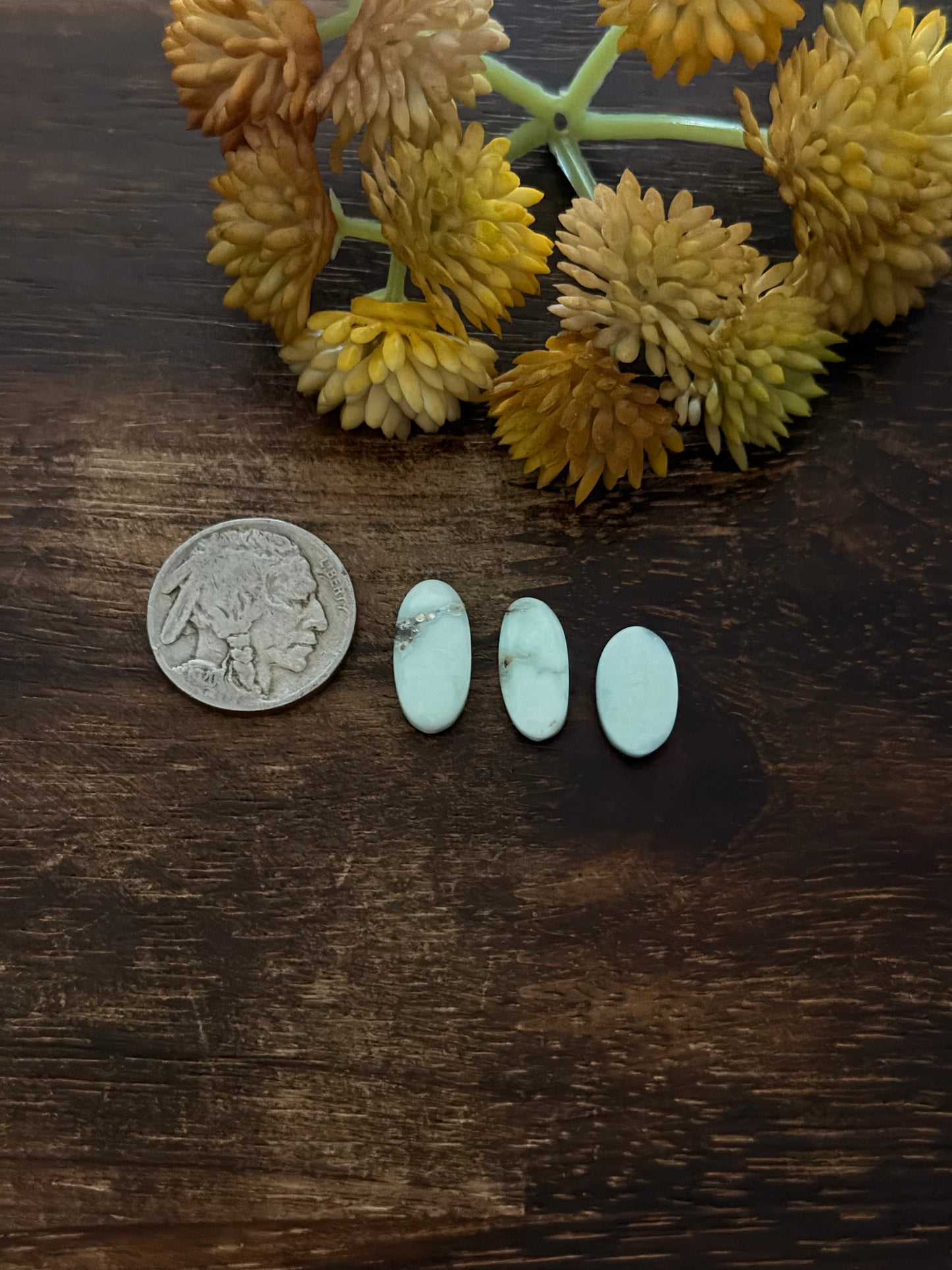 Paloma Variscite Cabs