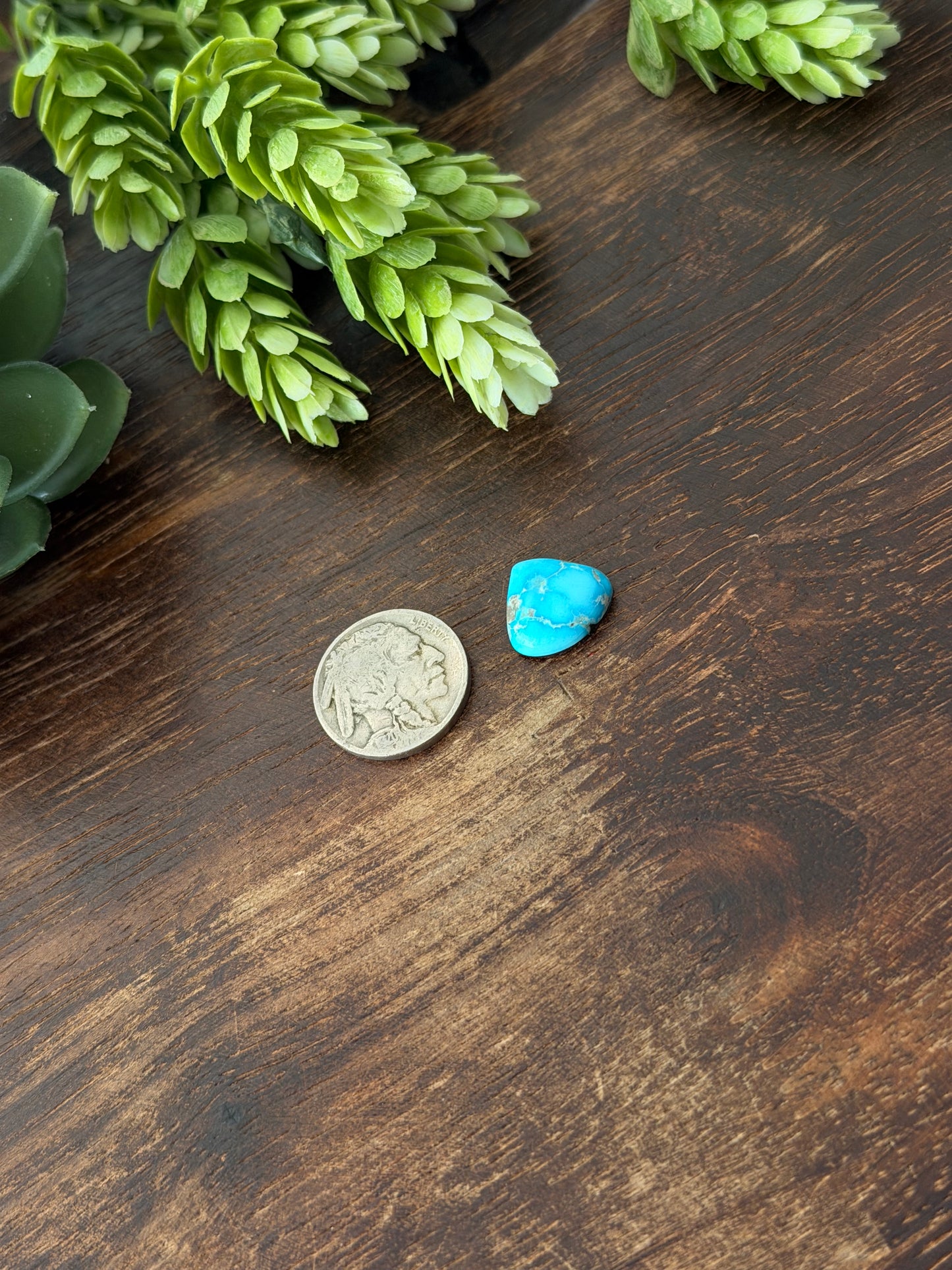 Blue Bird Turquoise Cab
