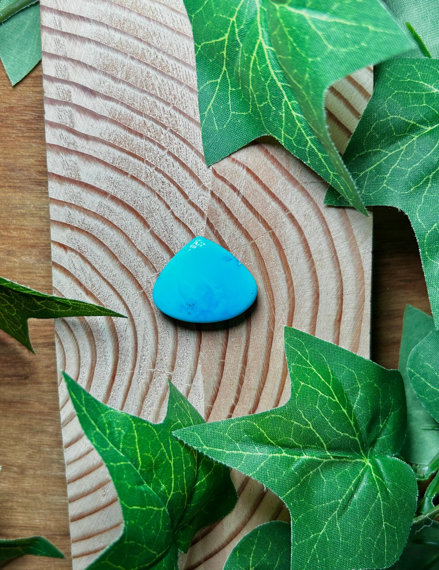 Blue Bird Turquoise Cabs