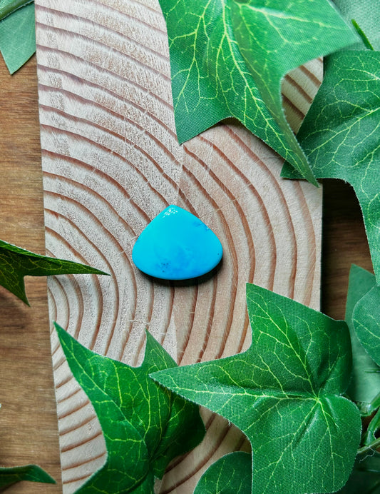 Blue Bird Turquoise Cabs