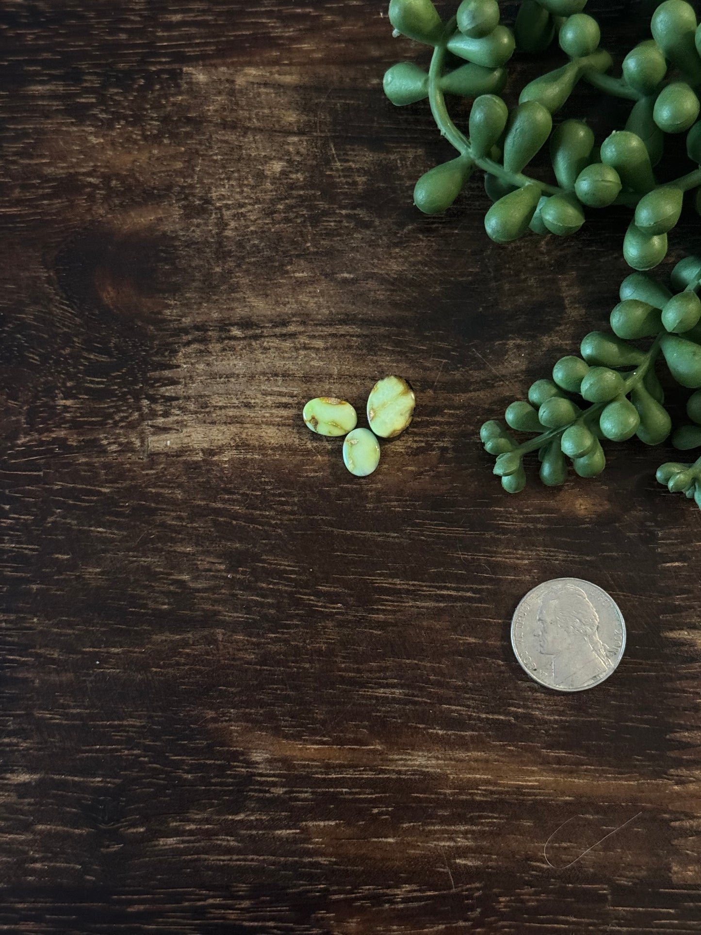 Palomino Variscite Cabs
