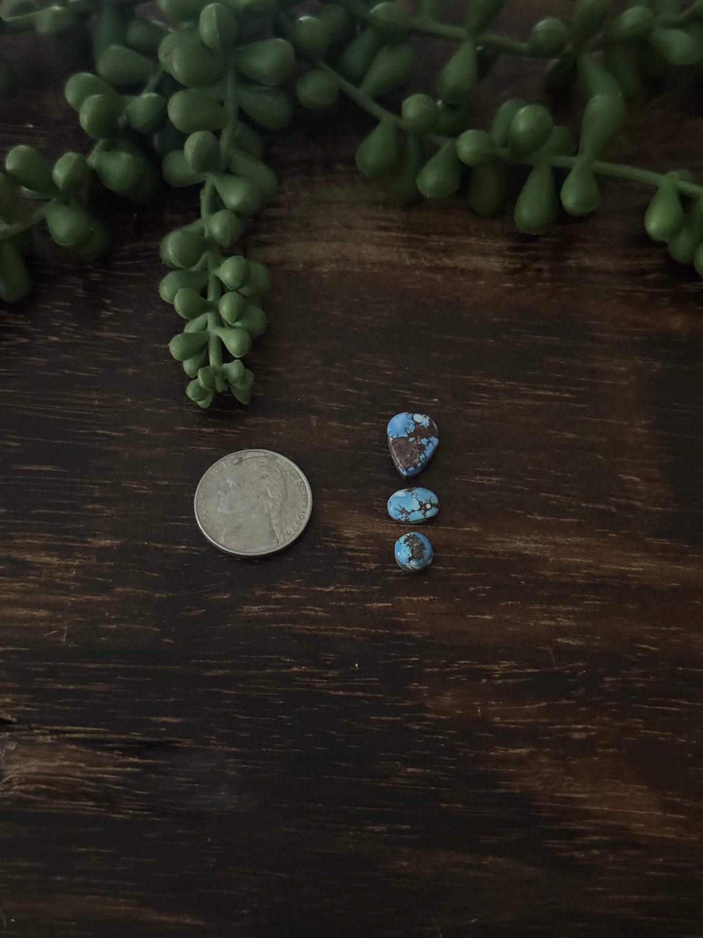 Golden Hills Turquoise Cabs