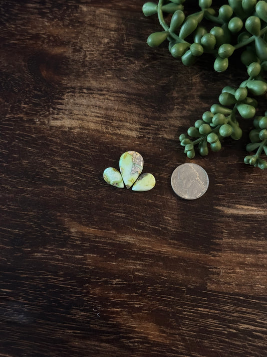 Palomino Variscite Cabs