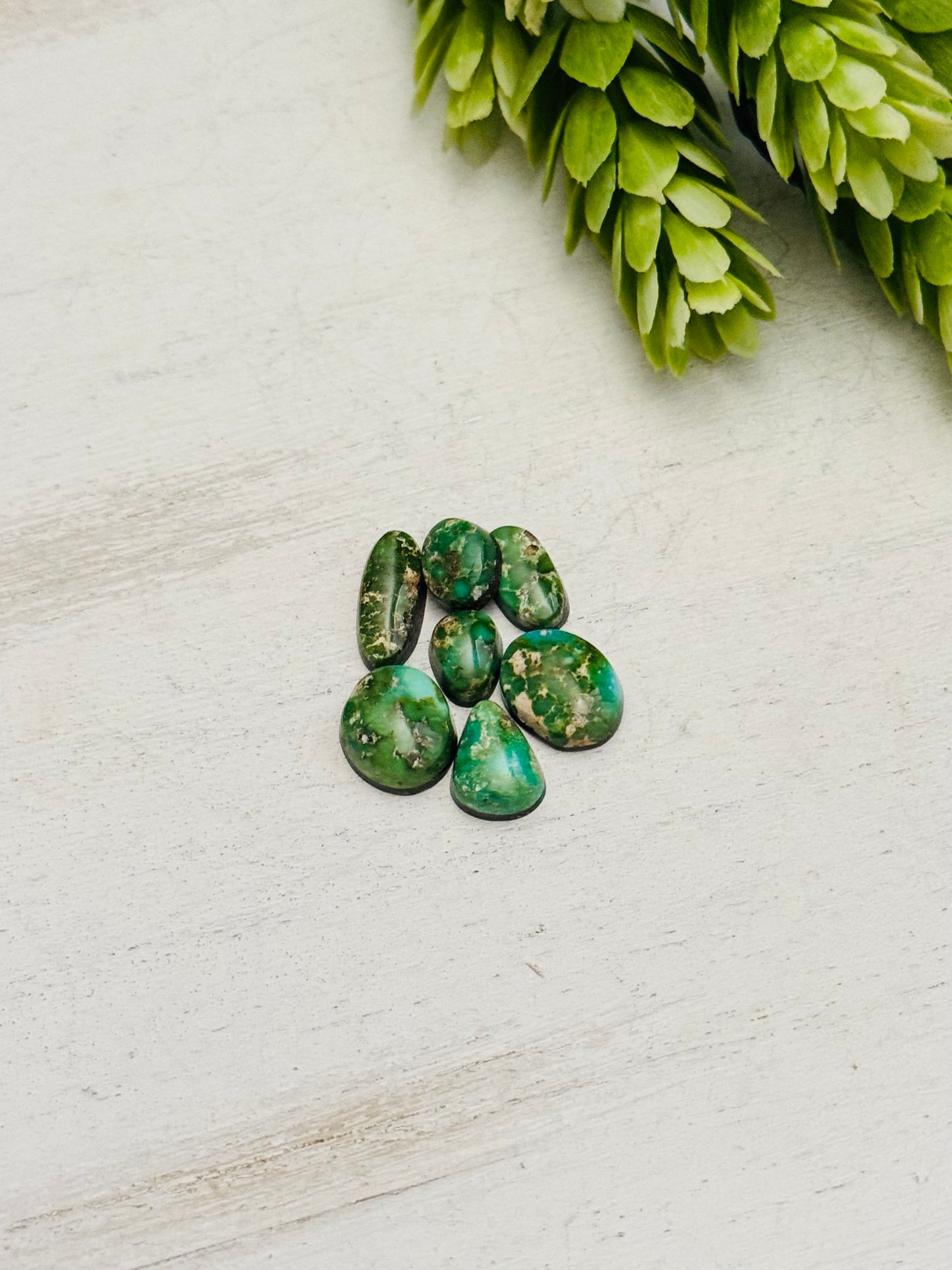 Natural Sonoran Gold Turquoise Cabs